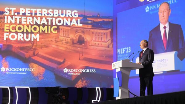 Президент РФ Владимир Путин выступает на пленарном заседании Петербургского международного экономического форума - Sputnik भारत