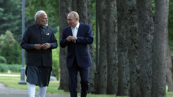 President Vladimir Putin meets with Indian Prime Minister Narendra Modi - Sputnik भारत