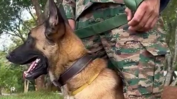 K9 warriors participating in Mitra Shakti 2024 - Sputnik भारत