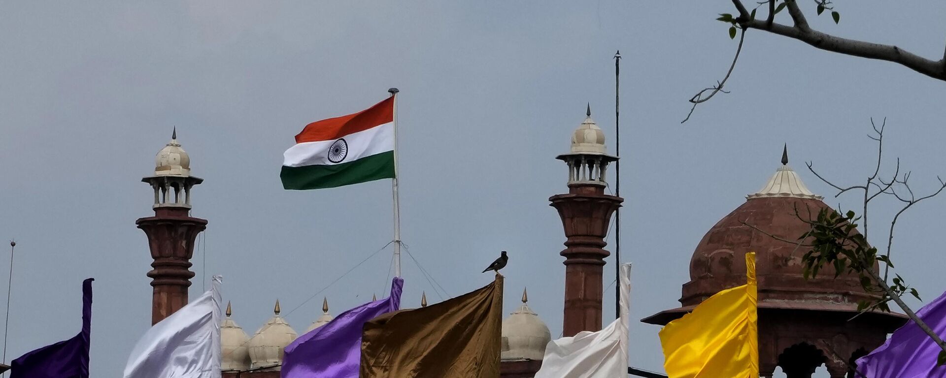 A bird sits on a fluttering colored flag against the Red Fort, the main venue for the Independence Day celebrations from where Indian prime minister Narendra Modi will address the nation on Thursday, in New Delhi, India, Wednesday, Aug. 14, 2024. - Sputnik India, 1920, 31.12.2025