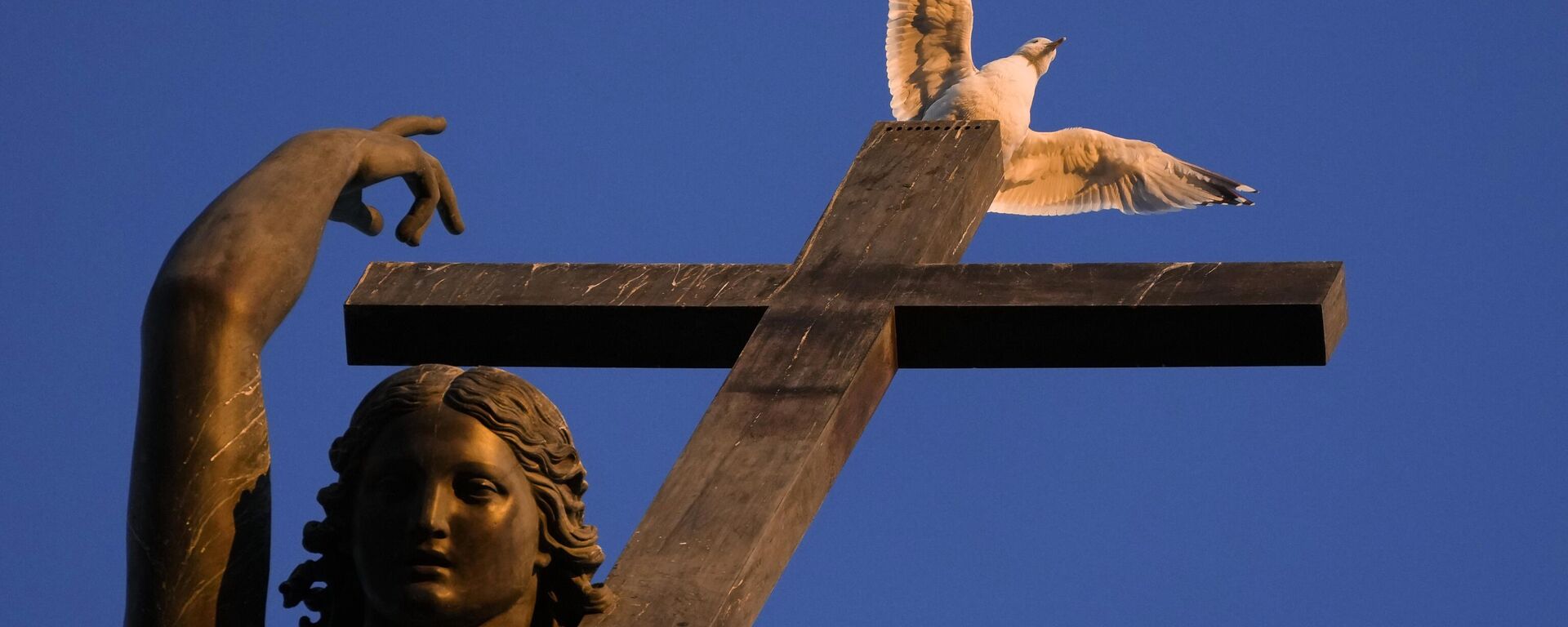 A seagull sits on a statue of an angel fixed atop the Alexander Column in central St. Petersburg, Russia, Monday, March 21, 2022. - Sputnik भारत, 1920, 26.08.2024