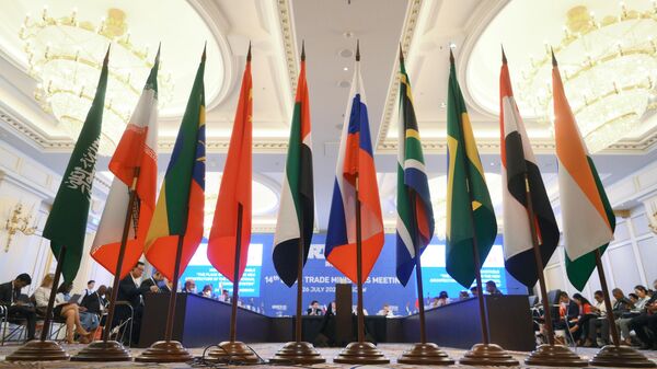 The 14th BRICS Trade Ministers Meeting - Sputnik India