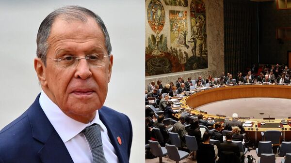 Russia will support the inclusion of India, Brazil and African countries in UNSC: Lavrov - Sputnik भारत