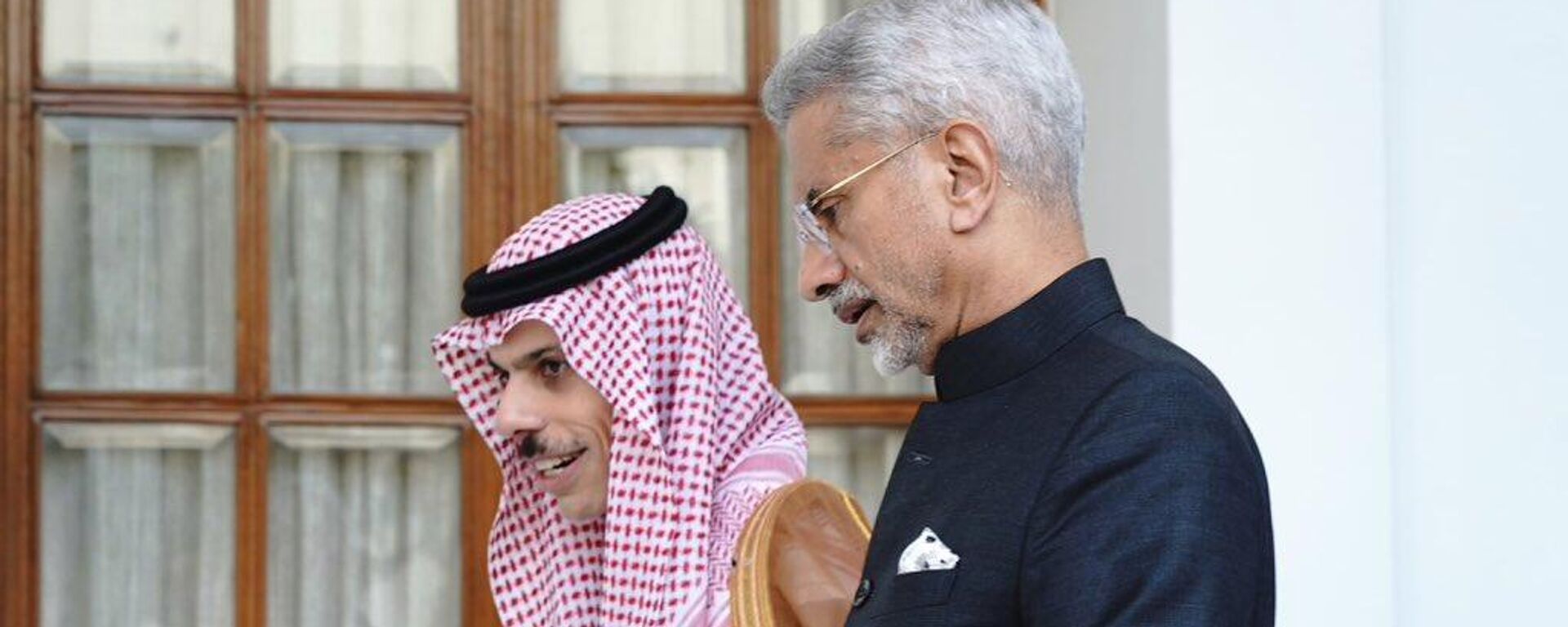 India Deeply Pained by Civilian Deaths in Gaza: Jaishankar in talks with Saudi FM - Sputnik भारत, 1920, 13.11.2024