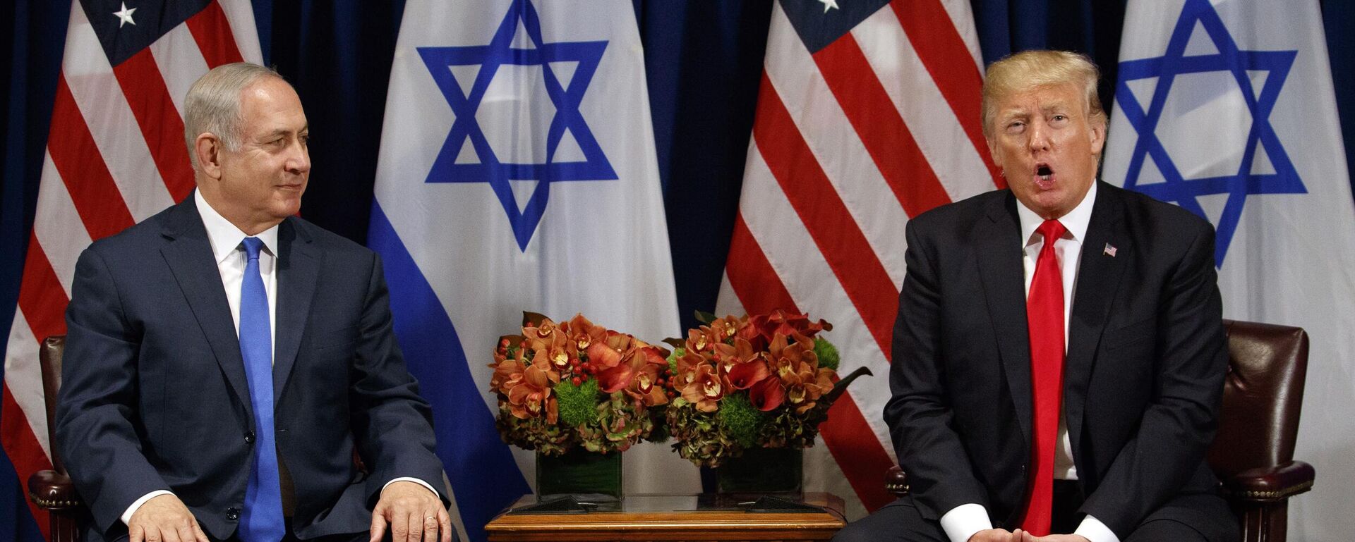 Donald Trump speaks during a meeting with Israeli Prime Minister Benjamin Netanyahu at the Palace Hotel during the United Nations General Assembly - Sputnik India, 1920, 13.11.2024