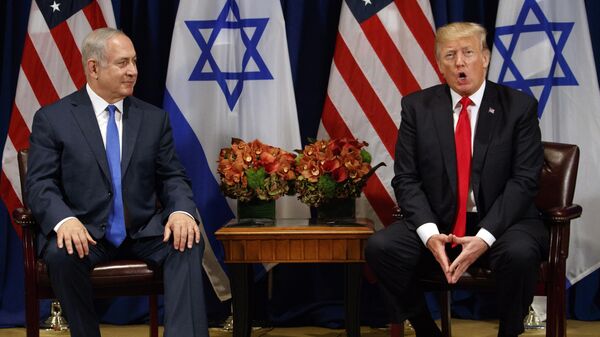 Donald Trump speaks during a meeting with Israeli Prime Minister Benjamin Netanyahu at the Palace Hotel during the United Nations General Assembly - Sputnik India