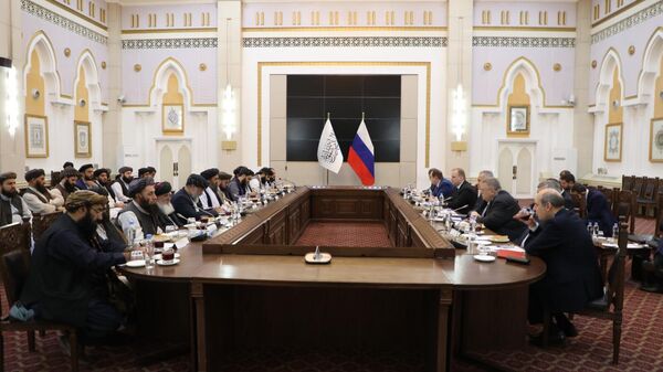 The Deputy Prime Minister for Economic Affairs Met with the Secretary of the Russian Security Council Secretary Sergei Shoigu - Sputnik India