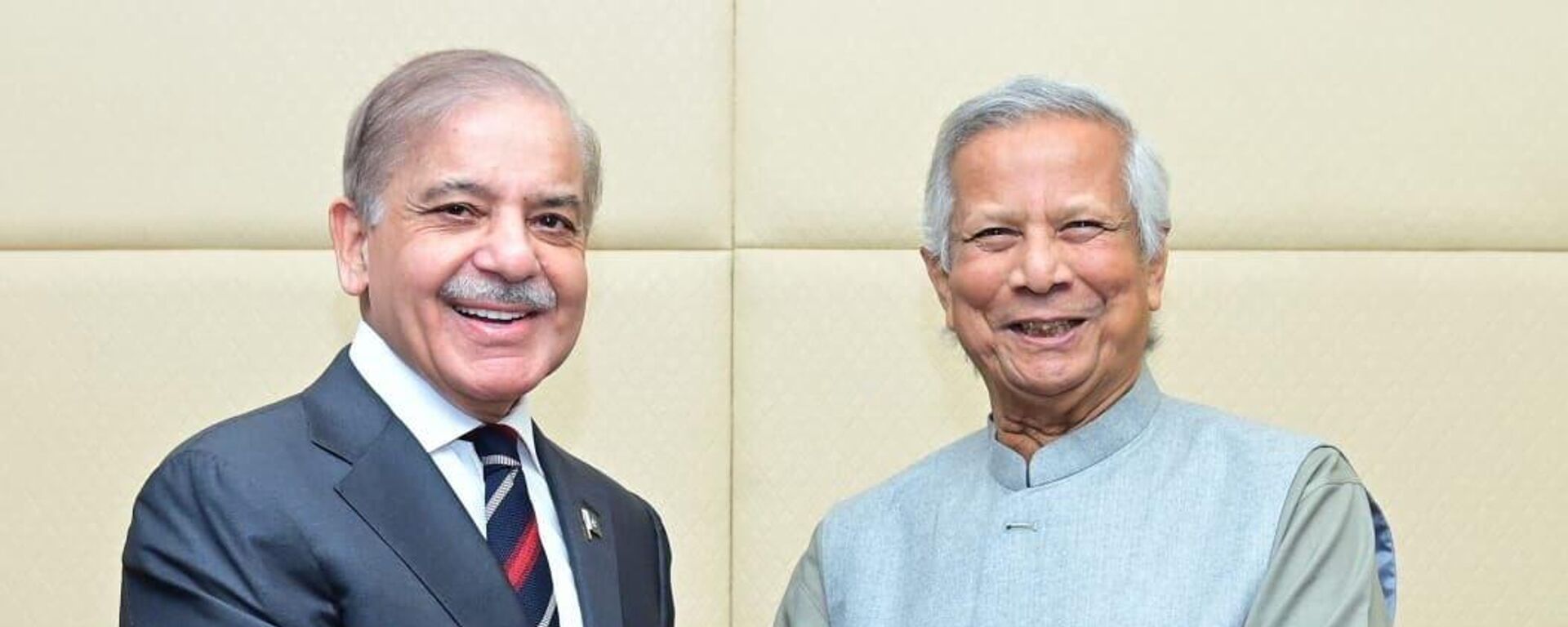 Muhammad Yunus met Shehbaz Sharif at the sidelines of a conference in Egypt - Sputnik भारत, 1920, 24.12.2024