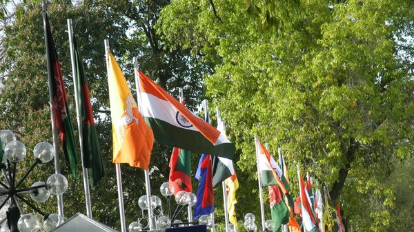 INDIA - APRIL 04:  All Countries Flag at the ceremony of the 14th South Asian Association for Regional Cooperation (SAARC) Summit, Twenty-Ninth Session in New Delhi, India  (Photo by Sipra Das/The The India Today Group via Getty Images) - Sputnik India