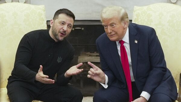 President Donald Trump, right, meets with Ukraine's Volodymyr Zelensky in the Oval Office at the White House, Friday, Feb. 28, 2025, in Washington.  - Sputnik भारत