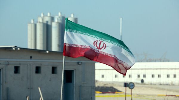 A picture taken on November 10, 2019, shows an Iranian flag in Iran's Bushehr nuclear power plant, during an official ceremony to kick-start works on a second reactor at the facility - Sputnik भारत