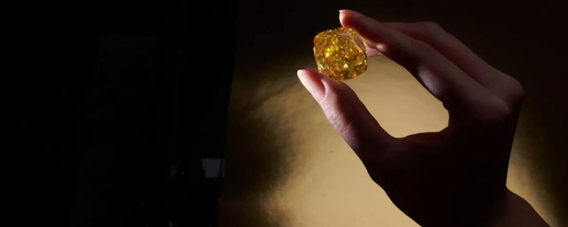 Diamond New Sun - Sputnik भारत, 1920, 13.08.2025