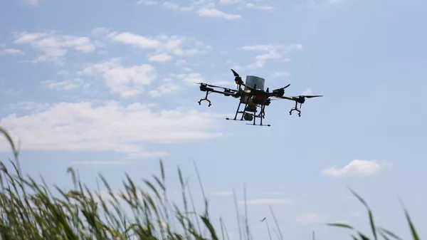 Rice growers of the Temryuk District, GUP Kuban Products, are sowing fields with rice using drones. An unusual experiment has begun in the Krasnodar region: rice sowing was carried out with the help of controlled drone robots. The power of the drones allows them to efficiently sow 150 hectares of fields in one day. - Sputnik India