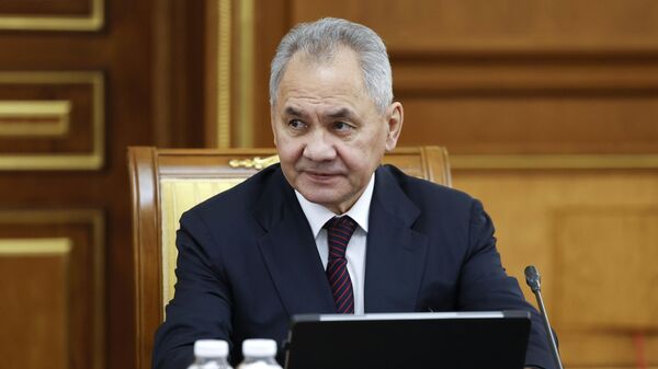 Ex-Defense Minister Sergei Shoigu - Sputnik भारत
