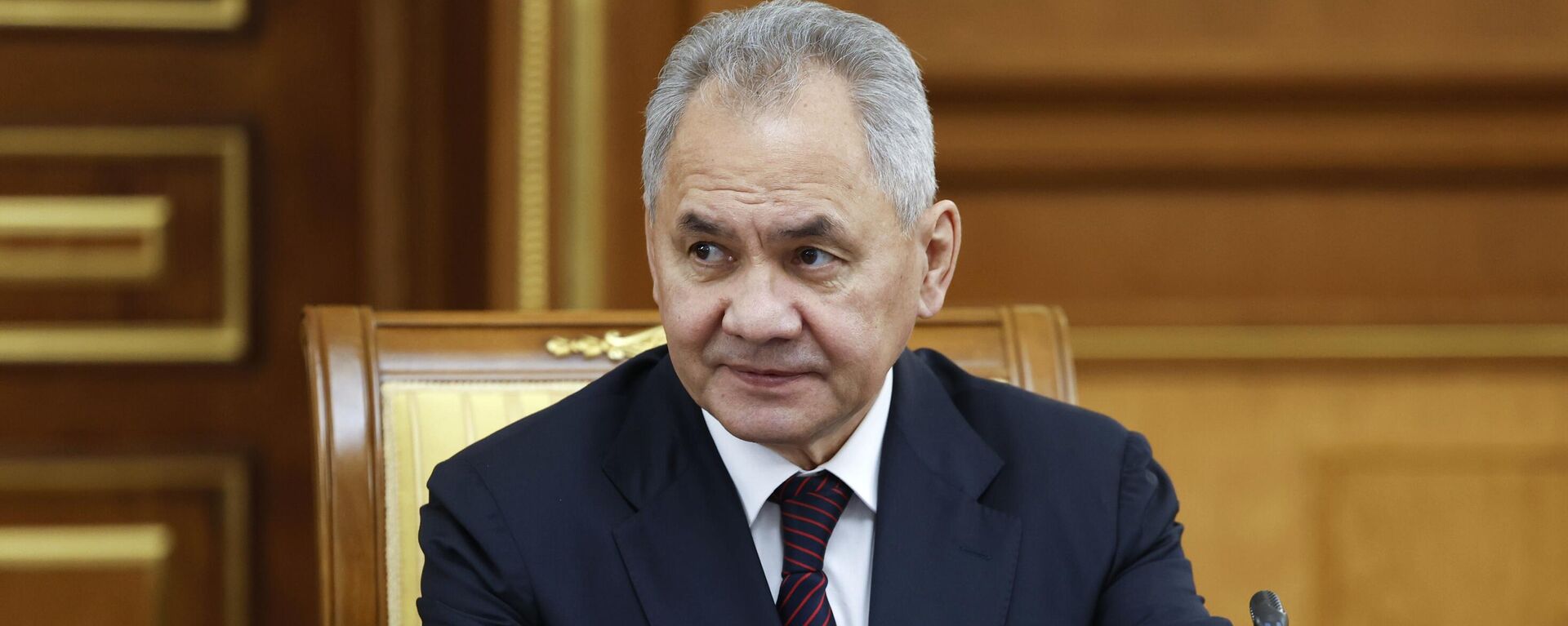 Ex-Defense Minister Sergei Shoigu - Sputnik भारत, 1920, 06.05.2025