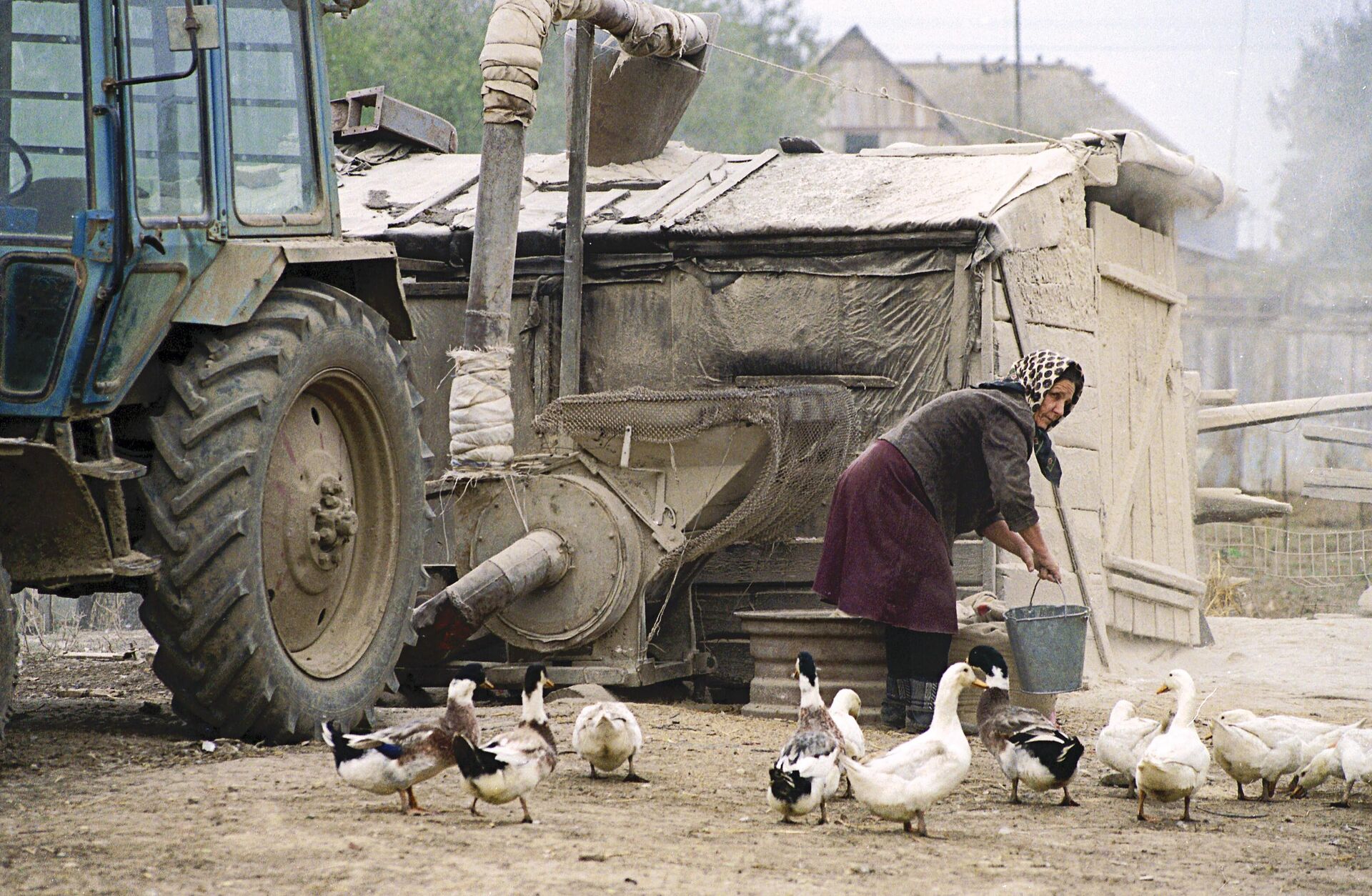 A woman feeds geese - Sputnik भारत, 1920, 07.05.2025