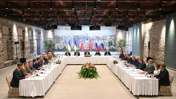 Russia and Ukraine talks in Istanbul - Sputnik भारत