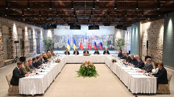 Russia and Ukraine talks in Istanbul - Sputnik भारत