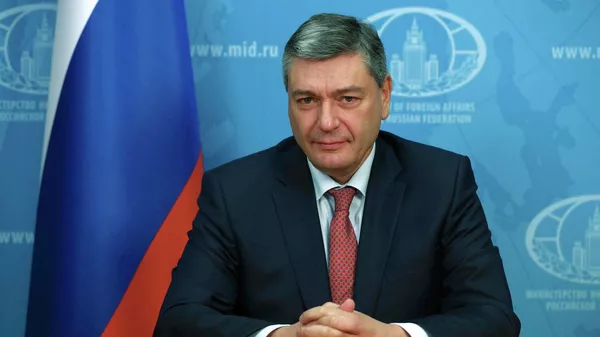Russian Deputy Foreign Minister Andrei Rudenko - Sputnik India