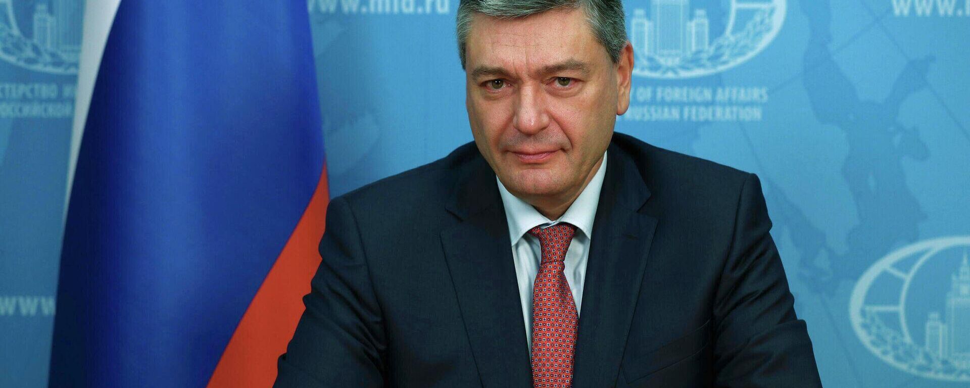 Russian Deputy Foreign Minister Andrei Rudenko - Sputnik India, 1920, 01.06.2025