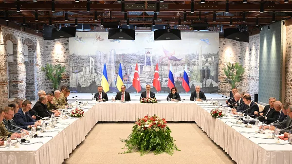 Russia-Ukraine negotiations in Istanbul. May 16, 2025 - Sputnik India