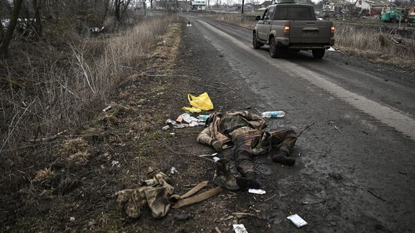Dead Ukrainian soldier - Sputnik India
