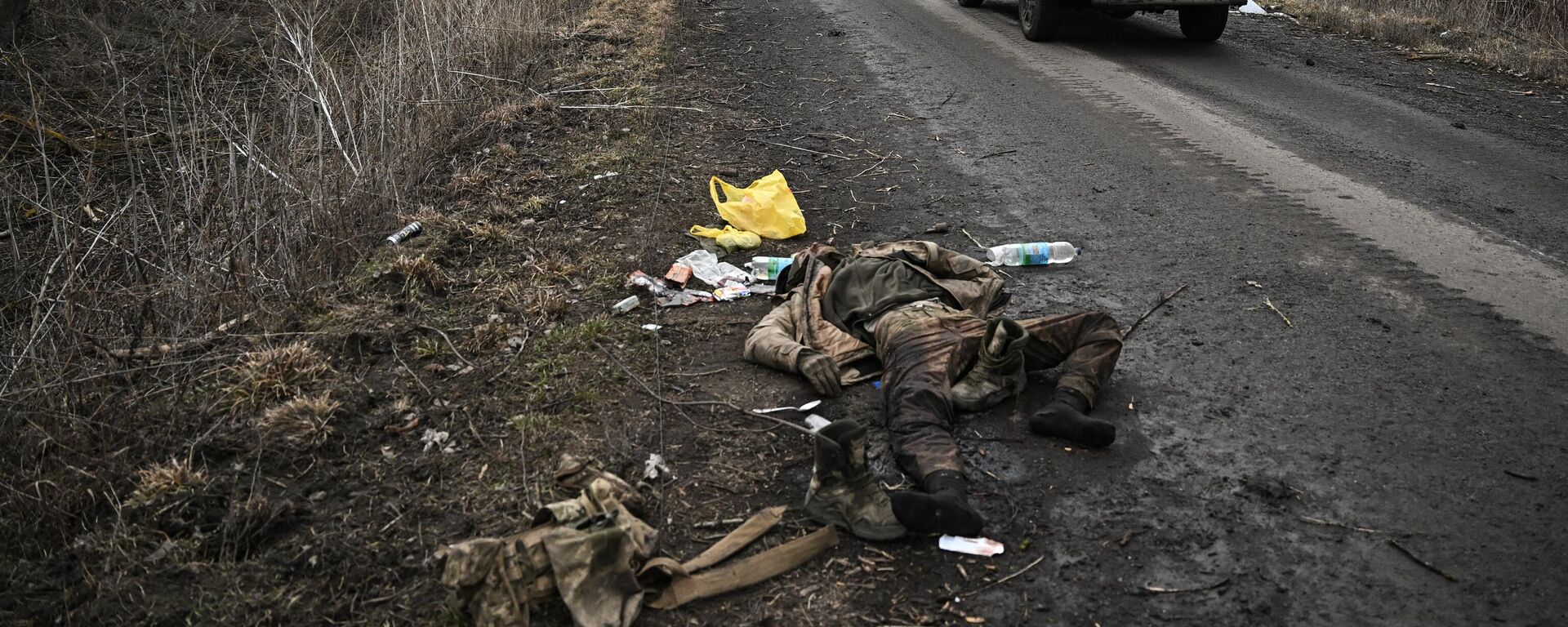 Dead Ukrainian soldier - Sputnik India, 1920, 08.06.2025