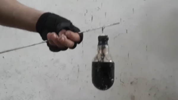  - Sputnik भारत