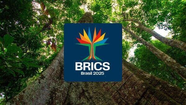Sputnik Brasil comemora 10 anos com painel sobre BRICS e soberania global - Sputnik भारत