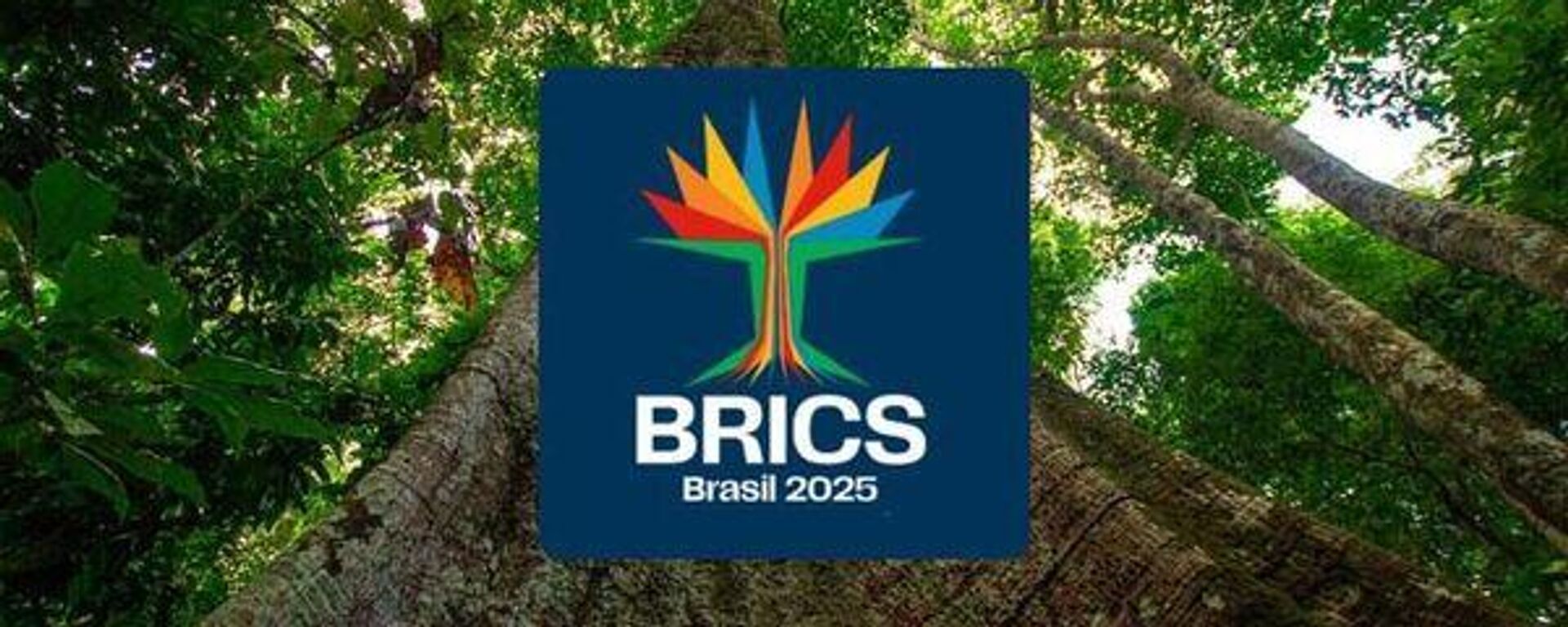 Sputnik Brasil comemora 10 anos com painel sobre BRICS e soberania global - Sputnik भारत, 1920, 03.07.2025