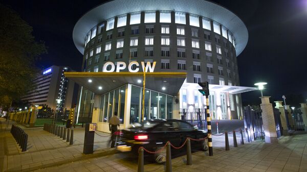 A car arrives at the headquarters of the Organization for the Prohibition of Chemical Weapons, OPCW, in The Hague, Netherlands. - Sputnik भारत