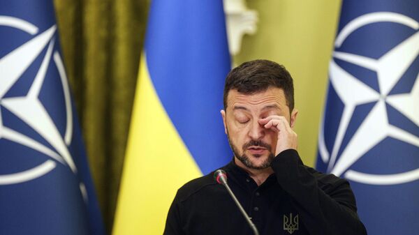 Ukraine's Volodymyr Zelensky. - Sputnik India