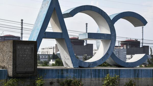 Stele of the Zaporozhye Nuclear Power Plant in Energodar. - Sputnik भारत