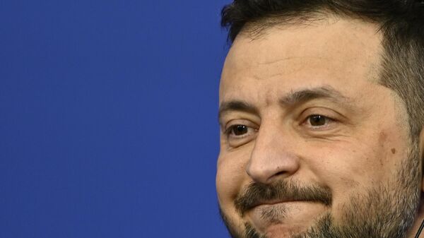 Ukraine's Volodymyr Zelensky  Nov. 7, 2024.  - Sputnik India