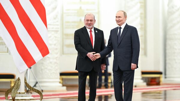 Russian President Vladimir Putin held talks with Malaysia's Supreme Ruler Sultan Ibrahim - Sputnik भारत