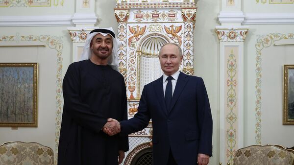 Meeting between President Vladimir Putin and UAE President Mohamed bin Zayed Al Nahyan - Sputnik India