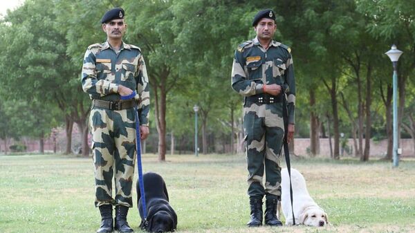 BSF Rajasthan - Sputnik भारत