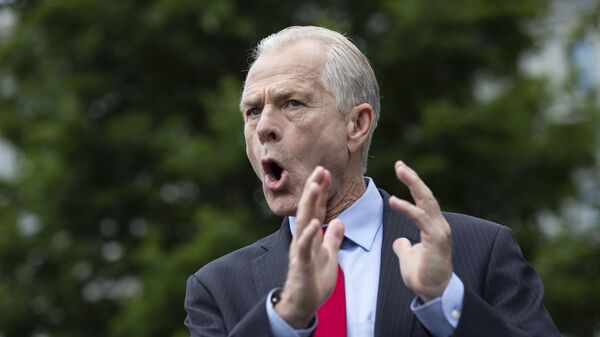 White House trade adviser Peter Navarro speaks with reporters at the White House, Thursday, June 18, 2020, in Washington. - Sputnik India