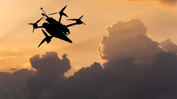 FPV kamikaze drone at sky - Sputnik भारत
