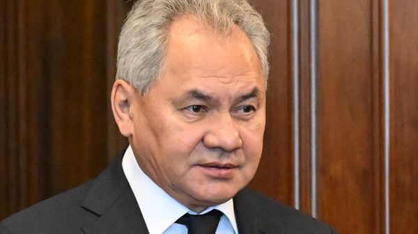 Secretary of the Russian Security Council Sergei Shoigu before a meeting with Republika Srpska President Milorad Dodik in Moscow. - Sputnik India