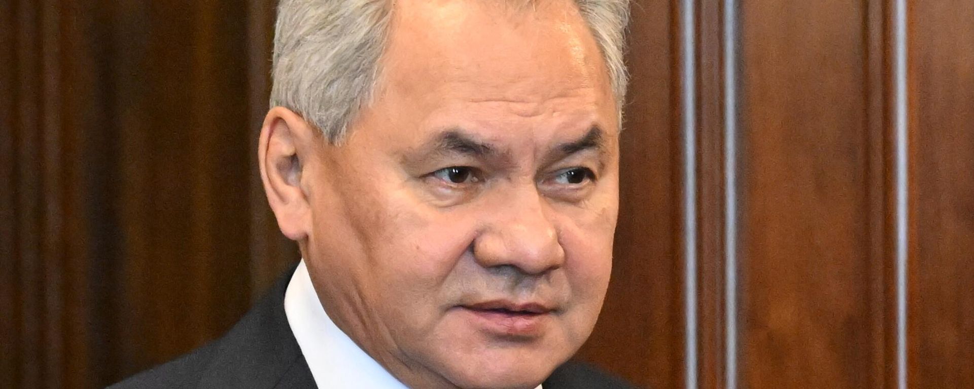 Secretary of the Russian Security Council Sergei Shoigu before a meeting with Republika Srpska President Milorad Dodik in Moscow. - Sputnik भारत, 1920, 17.09.2025