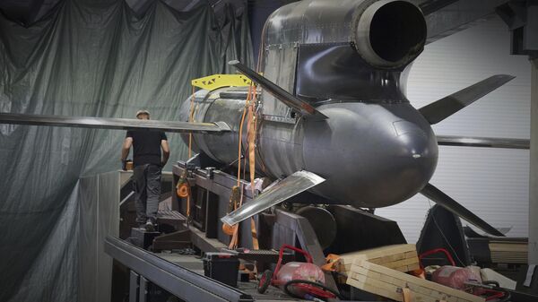 Workers inspect Flamingo missiles a Fire Point's secret factory in Ukraine on Thursday, Aug. 14, 2025.  - Sputnik भारत