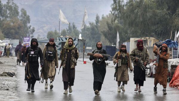 Taliban fighters patrol near the closed Torkham border with Pakistan. - Sputnik India