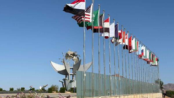 Flags of participating countries at a summit hosted by the Egyptian government to celebrate the signing Israel-Hamas ceasefire deal, fly at the Red Sea city of Sharm el-Sheikh, Egypt, Sunday - Sputnik भारत