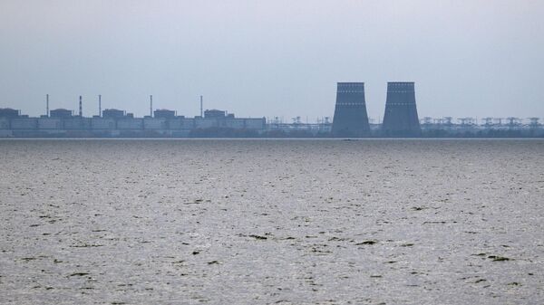 Zaporozhye Nuclear Power Plant - Sputnik भारत