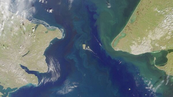 The Bering Strait, seen here in a satellite image, is the body of water that separates North America from Russia.  - Sputnik भारत
