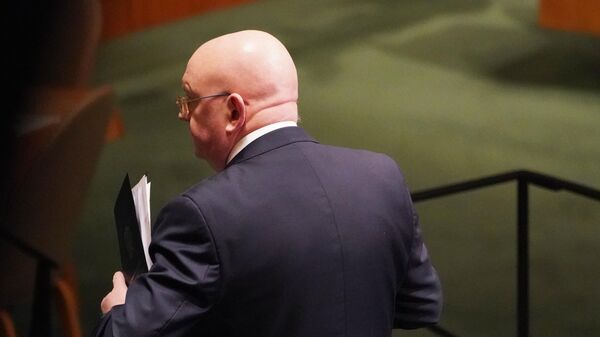 Russia's UN Envoy Vassily Nebenzia - Sputnik India