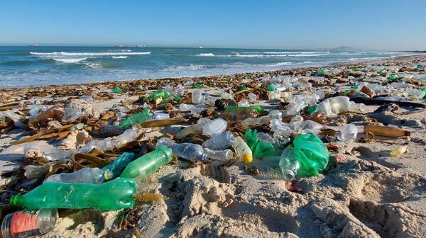 An ocean shore in South Africa littered with garbage, including plastic bottles and cans - Sputnik भारत