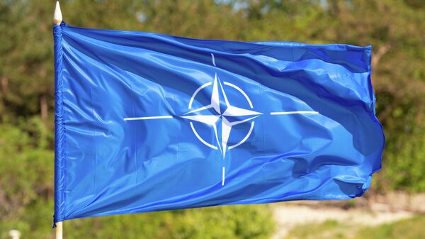 Flag with symbol of NATO waiving on a blurred green background - Sputnik India