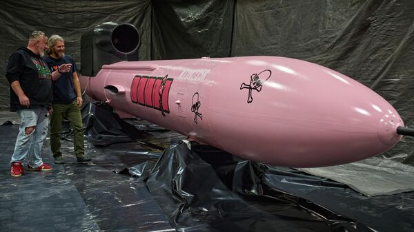 Flamingo cruise missile, paid for by a Czech crowdfunding campaign, at the Fire Point factory at an undisclosed location in Ukraine.  - Sputnik भारत